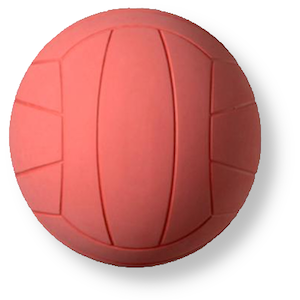 Ballon de Torball